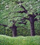 Arthur Woods Nature Paintings: Frühlingsbäume