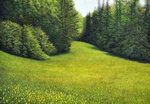 Arthur Woods Nature Paintings: Sommerwiese auf dem Randen