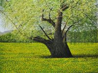 Arthur Woods Nature Paintings: Die Weide