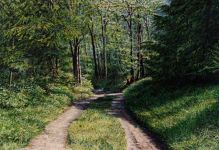 Arthur Woods Nature Paintings: Embracher Waldweg 