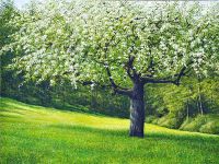 Arthur Woods Nature Paintings: Frühling im Oberembrach