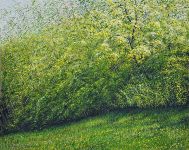 Arthur Woods Nature Paintings: Kaltenbach II