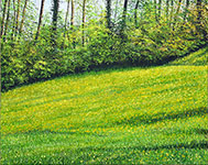 Arthur Woods Nature Paintings: Kruezstrasse