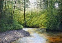 Arthur Woods Nature Paintings: Seebach