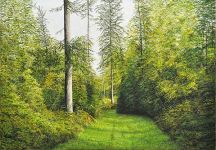 Arthur Woods Nature Paintings: Sommerspaziergang