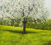 Arthur Woods Nature Paintings: Frühling im Thurgau