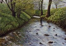 Arthur Woods Nature Paintings: Wildbach