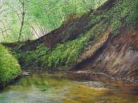 Arthur Woods Nature Paintings: Wildbach VII