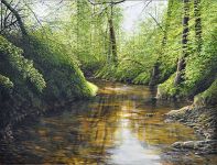 Arthur Woods Nature Paintings: Wildbach V