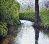 Arthur Woods Nature Paintings: Wildbach IV