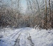 Arthur Woods Nature Paintings: Winter