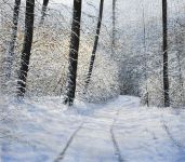Arthur Woods Nature Paintings: Ein herrlicher Wintertag