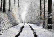 Arthur Woods Nature Paintings: Wintertraum