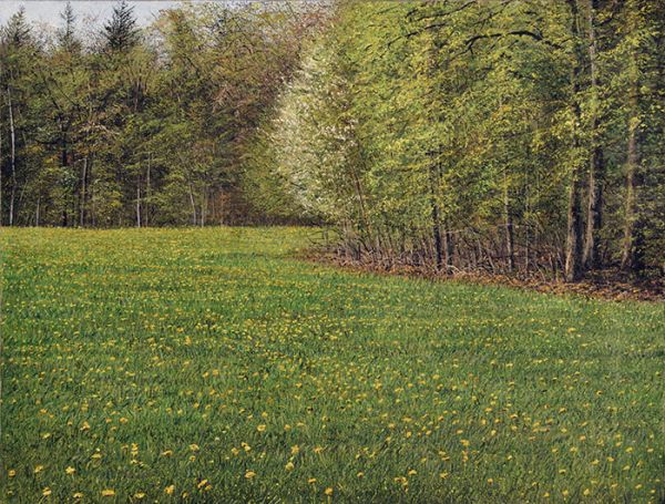 Arthur Woods Nature Paintings: Waldrand II