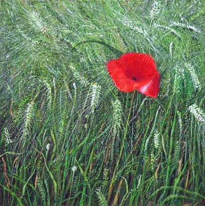 Arthur Woods Nature Paintings: Mohn im Kornfeld