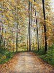Arthur Woods Nature Paintings: Herbstspaziergang
