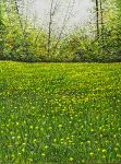 Arthur Woods Nature Paintings: Frühling