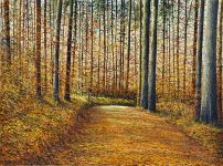 Arthur Woods Nature Paintings: Heersbärg bei Nussbaumen