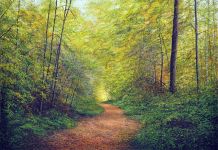 Arthur Woods Nature Paintings: Herbsttraum