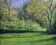 Arthur Woods Nature Paintings: Im April