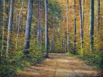 Arthur Woods Nature Paintings: Oktoberweg