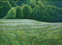 Arthur Woods Nature Paintings: Sommerwiese